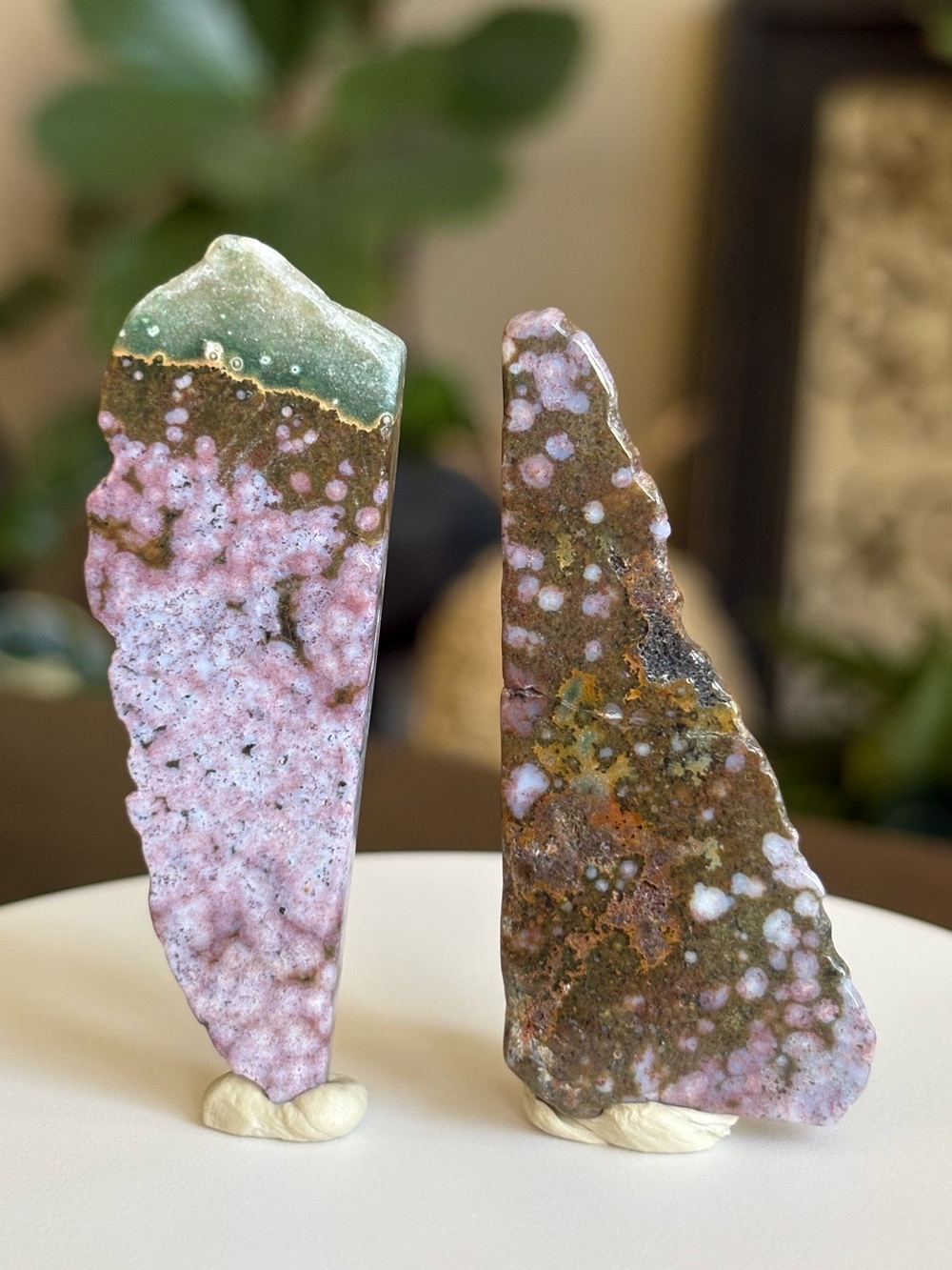 Ocean Jasper Crystal Bundle - Sea Jasper Set - Polished